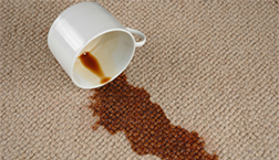 carpet cleaning houston